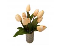 Tulipán svazek 9ks smetanové